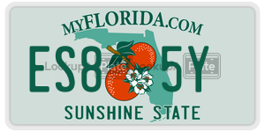 ES85Y  license plate in FL