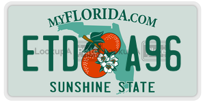 ETDA96 license plate in Florida