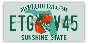 ETGV45 license plate in Florida