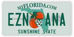 EZNANA license plate in Florida