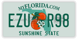 EZUR98  license plate in FL