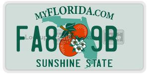 FA89B  license plate in FL