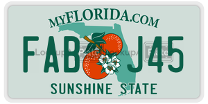 FABJ45  license plate in FL