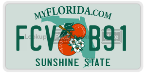 FCVB91  license plate in FL