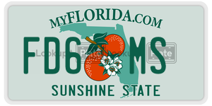 FD6MS  license plate in FL
