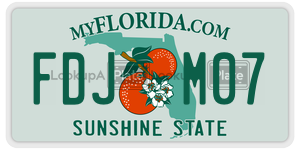 FDJM07  license plate in FL