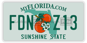 FDNZ13  license plate in FL