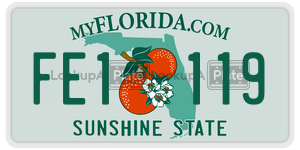 FE1119 license plate in Florida