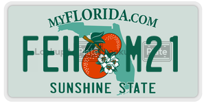 FEHM21  license plate in FL