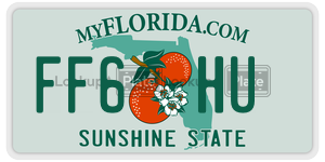FF6HU  license plate in FL