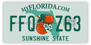 FFQZ63  license plate in FL