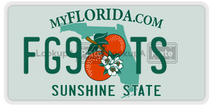 FG9TS  license plate in FL