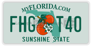 FHGT40  license plate in FL
