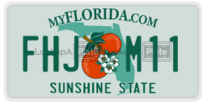 FHJM11  license plate in FL
