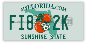 FI82K license plate in Florida
