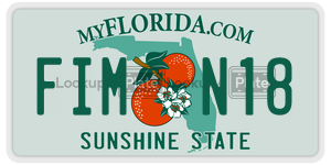 FIMN18  license plate in FL