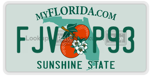 FJVP93  license plate in FL