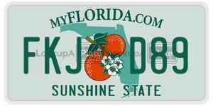 FKJD89  license plate in FL