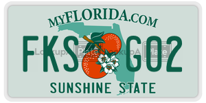 FKSG02  license plate in FL