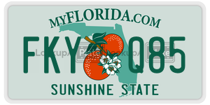 FKYQ85  license plate in FL