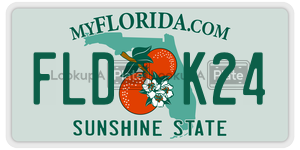 FLDK24  license plate in FL