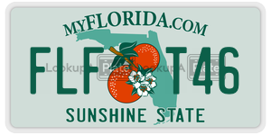 FLFT46  license plate in FL
