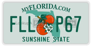 FLLP67  license plate in FL
