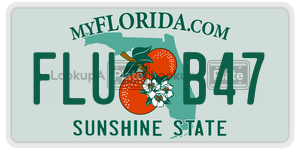 FLUB47  license plate in FL