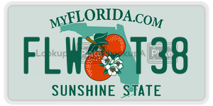 FLWT38  license plate in FL