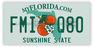 FMIQ80  license plate in FL