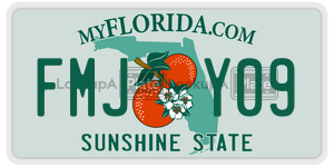 FMJY09  license plate in FL