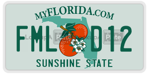 FMLD12  license plate in FL