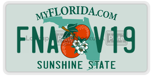 FNAV19  license plate in FL