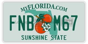 FNBM67  license plate in FL