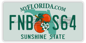 FNBS64  license plate in FL