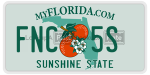 FNC5S  license plate in FL