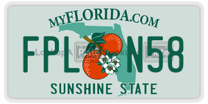 FPLN58  license plate in FL