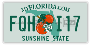 FQHI17  license plate in FL