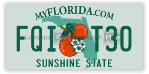 FQIT30 license plate in Florida