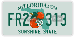 FR2313  license plate in FL