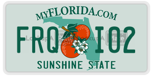 FRQI02  license plate in FL