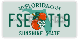 FSET19  license plate in FL