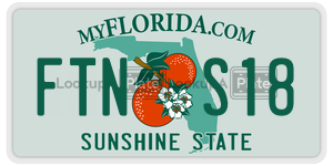 FTNS18  license plate in FL