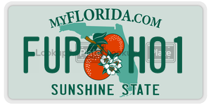 FUPH01  license plate in FL