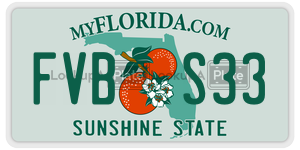 FVBS33  license plate in FL
