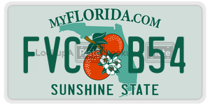 FVCB54  license plate in FL