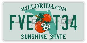 FVET34  license plate in FL