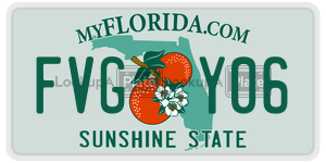 FVGY06  license plate in FL