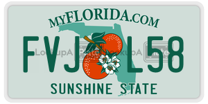 FVJL58  license plate in FL