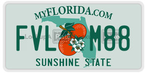 FVLM88 license plate in Florida